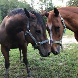 Meet your Posher, Loretta
